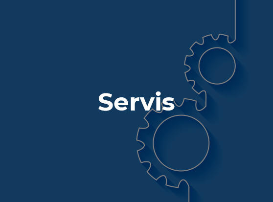 Servis